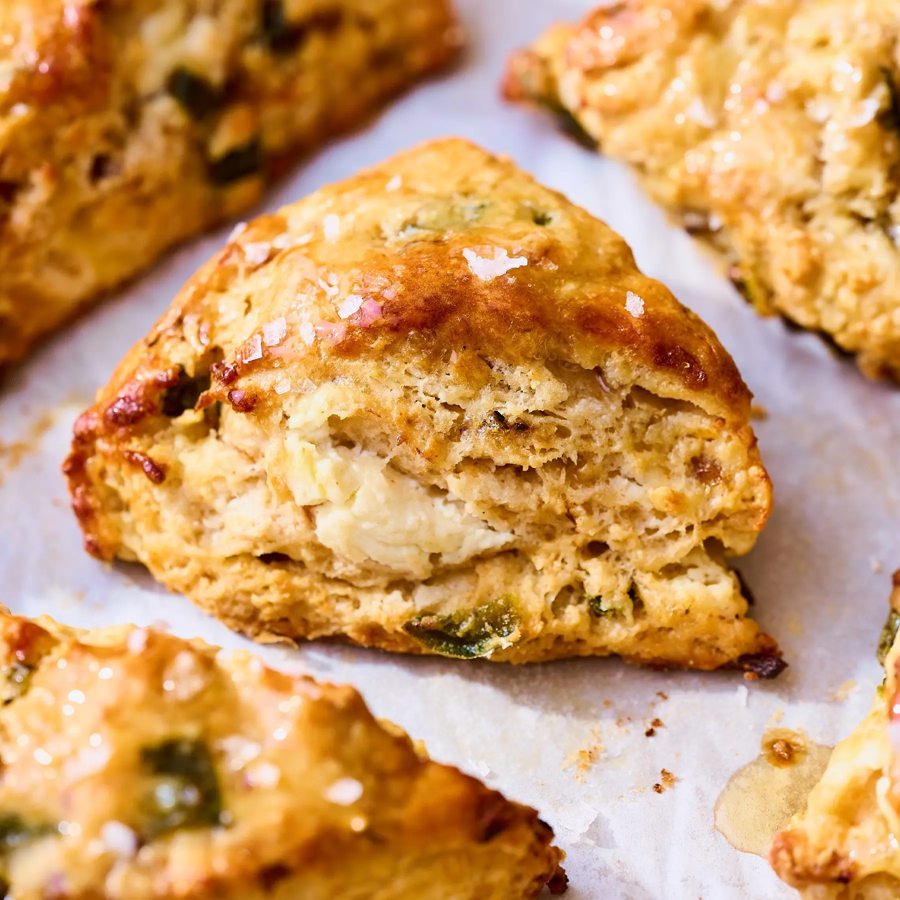 Shallot, Jalapeño, Goat Cheese, and Honey Scones